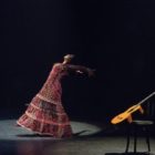 The Roots of Flamenco