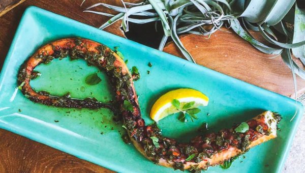 Summerlong_Charred Octopus