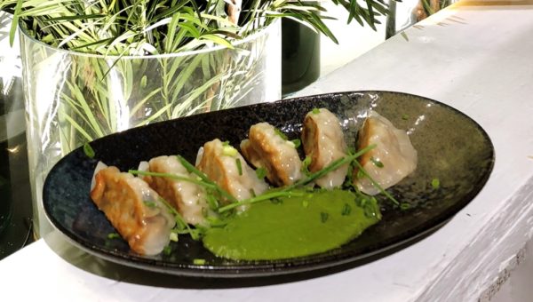 Unagi Gyoza