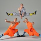 Shaolin Monks