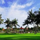 Bintan Lagoon Resort - Palm trees