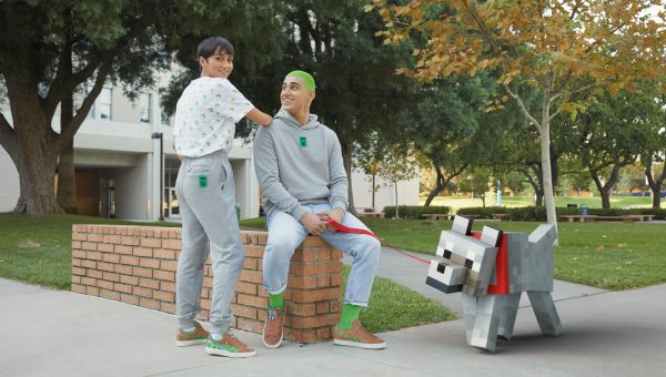 Mincecraft