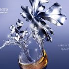 World of Wines & Spirits 2025