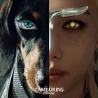 Tamburins Sunshine Campaign