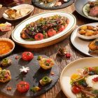 Tomacado Blooming Celebration Limited Set Menu