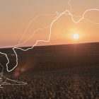 Conversations with Nature by Sam Falls