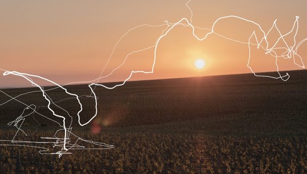 Conversations with Nature by Sam Falls